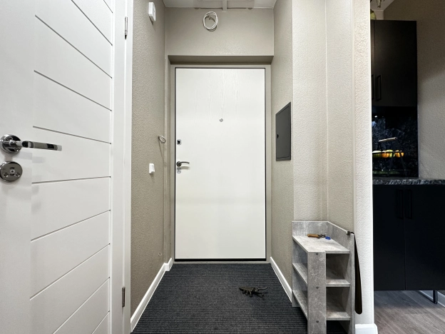 Купить Студию у метро Девяткино в Мурине. Вариант № 31079, 19, площадь -  квм, цена 6500000 рублей