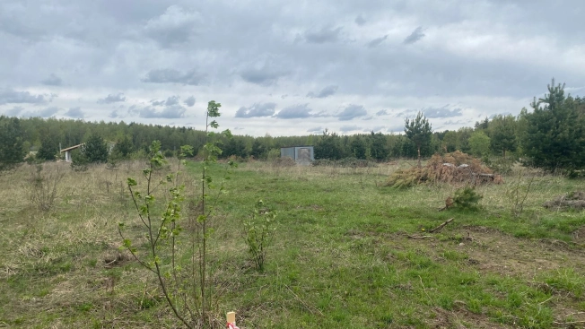 . Вариант № 21667, 5, площадь - квм, цена 1600000.0000 рублей