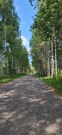 Купить земельный участок на улице 1 Мая в Нижегородской области. Вариант № 24175, 6, площадь -  квм, цена 300000 рублей