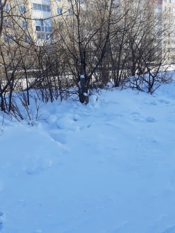 Купить земельный участок на улице Гумбольдта в Тобольске. Вариант № 4996, 0, площадь -  квм, цена 1650000 рублей