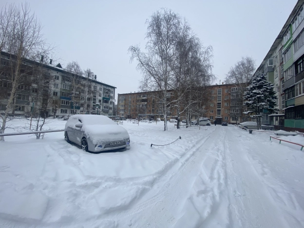 Купить квартиру в Бийске. Вариант № 10612362, 24, площадь - квм, цена 4990000 рублей