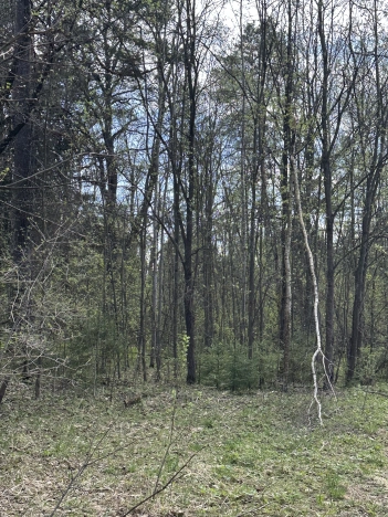 Купить земельный участок в Йошкар-Оле. Вариант № 24420, 1, площадь -  квм, цена 6000000 рублей