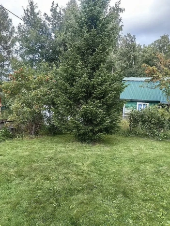 Купить дом на улице Тургенева в Новосибирске. Вариант № 7840943, 0, площадь -  квм, цена 1200000 рублей