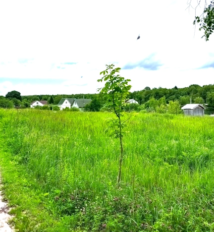 Купить земельный участок в Обнинске. Вариант № 11039, 1, площадь -  квм, цена 900000 рублей