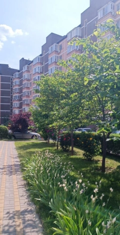 . Вариант № 7485112, 14, площадь - 36.3 квм, цена 6299000 рублей