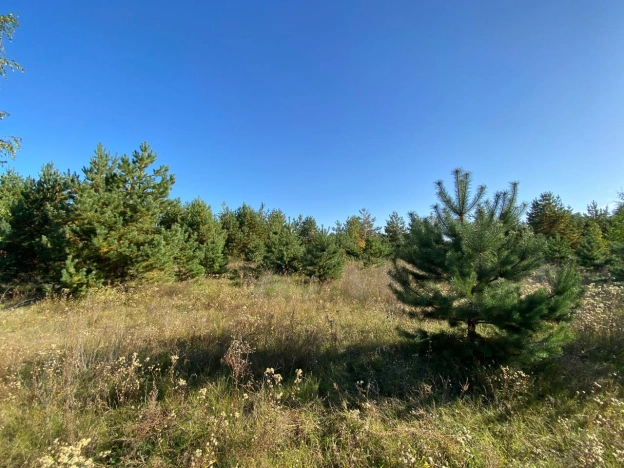 Купить земельный участок в Рязани. Вариант № 5134, 3, площадь -  квм, цена 1500000 рублей