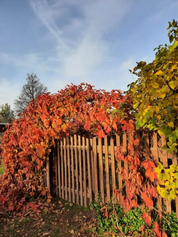 Купить дом в Лакинске. Вариант № 740932, 15, площадь -  квм, цена 1190000 рублей