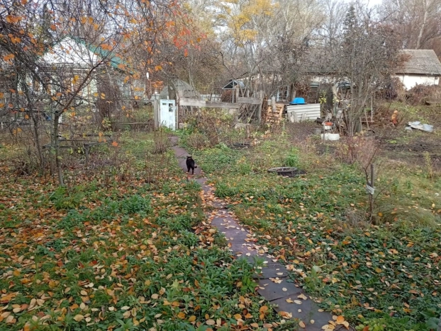 Купить дом в Воронежской области. Вариант № 9458188, 32, площадь -  квм, цена 5500000 рублей