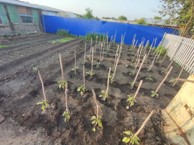 Купить дом на улице Садовая в Алтайском крае. Вариант № 36084, 20, площадь -  квм, цена 2550000 рублей