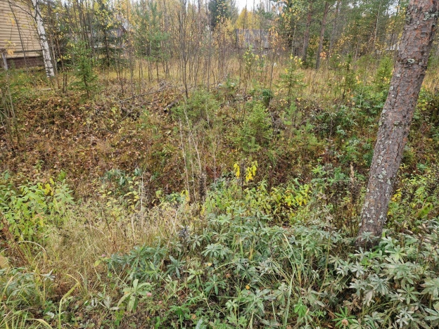 Купить земельный участок в Республике Коми. Вариант № 9637980, 2, площадь -  квм, цена 270000 рублей