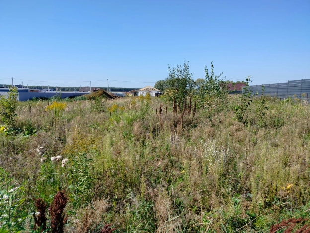 Купить земельный участок в Раменском. Вариант № 13563, 0, площадь -  квм, цена 1750000 рублей