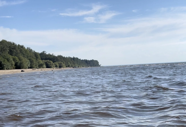 Купить земельный участок в Вологодской области. Вариант № 32128, 4, площадь -  квм, цена 1200000 рублей