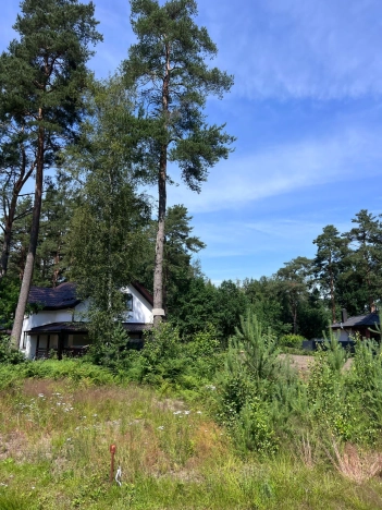 Купить земельный участок у метро Рыбацкое в Ленинградской области. Вариант № 2030388, 7, площадь -  квм, цена 3390000 рублей