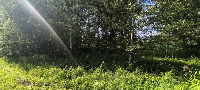 Купить земельный участок на улице Загородная в Ярославской области. Вариант № 25706, 2, площадь -  квм, цена 2100000 рублей