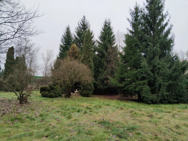 Купить земельный участок в Москве. Вариант № 7941407, 11, площадь -  квм, цена 25000000 рублей