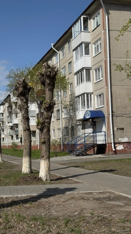 . Вариант № 40338, 18, площадь - 48 квм, цена 4150000 рублей