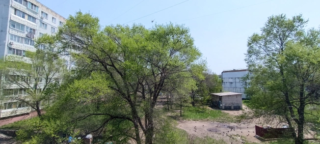 Купить трехкомнатную квартиру в Приморском крае. Вариант № 42078, 2, площадь -  квм, цена 7300000 рублей