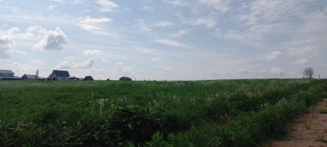 Купить земельный участок в Вологодской области. Вариант № 56502, 5, площадь -  квм, цена 1500000 рублей