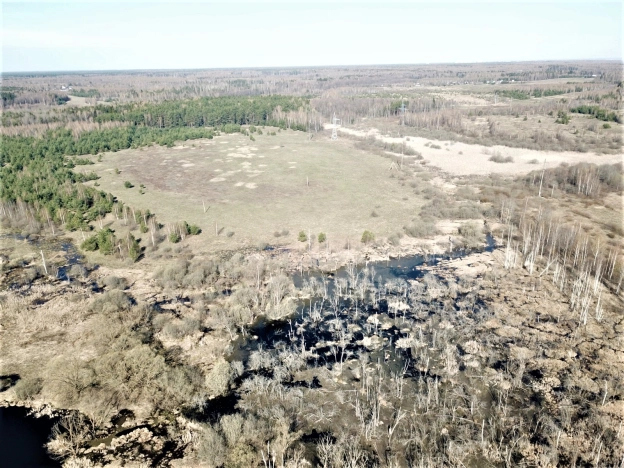 Купить коммерческую недвижимость в Судогде. Вариант № 2228, 9, площадь -  квм, цена 17948000 рублей