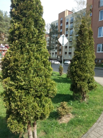 . Вариант № 7228604, 11, площадь - 37 квм, цена 7700000 рублей