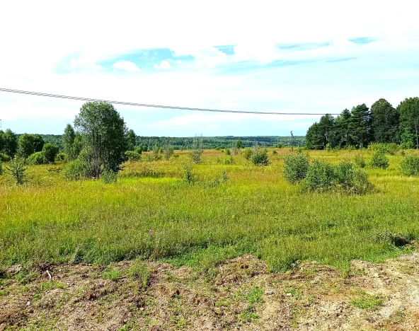 Купить земельный участок в Тульской области. Вариант № 3420, 4, площадь -  квм, цена 17800000 рублей