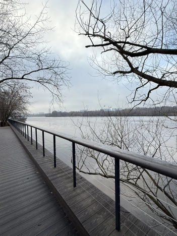 Купить квартиру в Москве. Вариант № 10247183, 1, площадь -  квм, цена 32000000 рублей