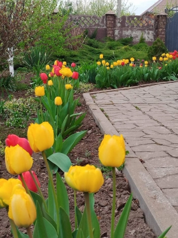 Купить дом в Белгородской области. Вариант № 8574411, 18, площадь -  квм, цена 12000000 рублей