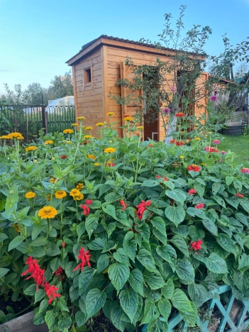 Купить дом у метро Речной вокзал в Новосибирске. Вариант № 6624281, 23, площадь -  квм, цена 2900000 рублей