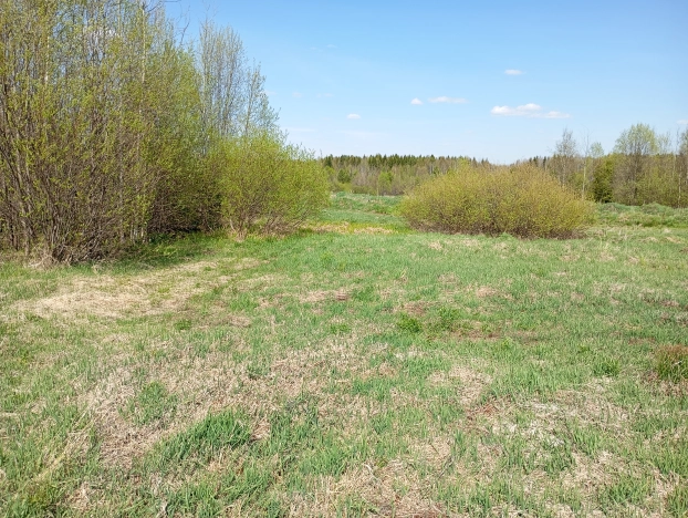 Купить земельный участок в Республике Коми. Вариант № 46055, 3, площадь -  квм, цена 240000 рублей