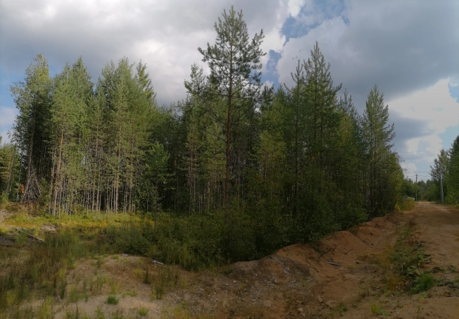 Купить земельный участок в Республике Коми. Вариант № 2358440, 7, площадь -  квм, цена 650000 рублей