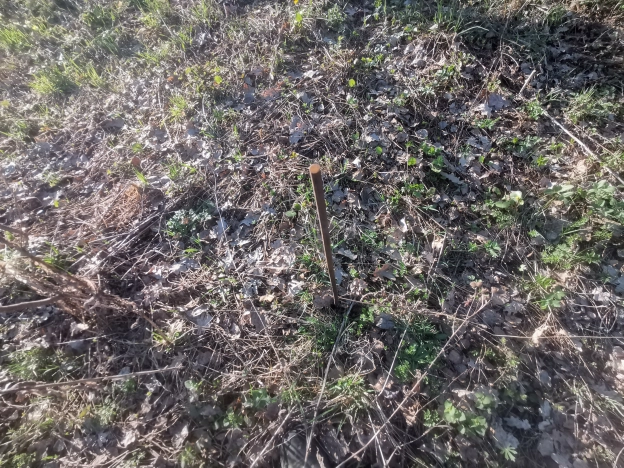 . Вариант № 37225, 12, площадь -  квм, цена 900000 рублей