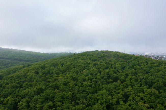 Купить двухкомнатную квартиру в ЖК Посейдония в Владивостоке. Вариант № 4137378, 3, площадь -  квм, цена 10592700 рублей