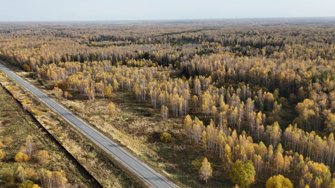 Купить земельный участок в Ивановской области. Вариант № 8049127, 6, площадь -  квм, цена 150000 рублей