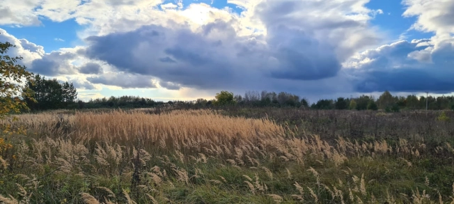 Купить земельный участок в Коврове. Вариант № 7234953, 6, площадь -  квм, цена 8000000 рублей