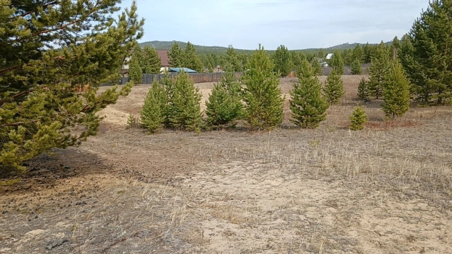 Купить земельный участок в Улан-Удэ. Вариант № 6938937, 7, площадь -  квм, цена 260000 рублей