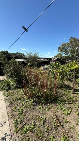 Купить дом в Приморском крае. Вариант № 4858066, 10, площадь -  квм, цена 3500000 рублей