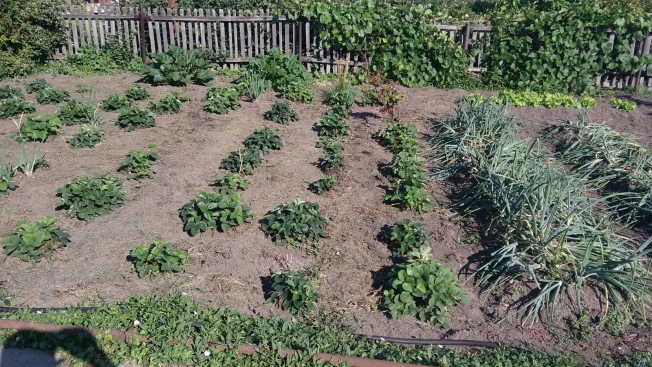 Купить дачу в Тюменской области. Вариант № 7294, 9, площадь -  квм, цена 2159000 рублей