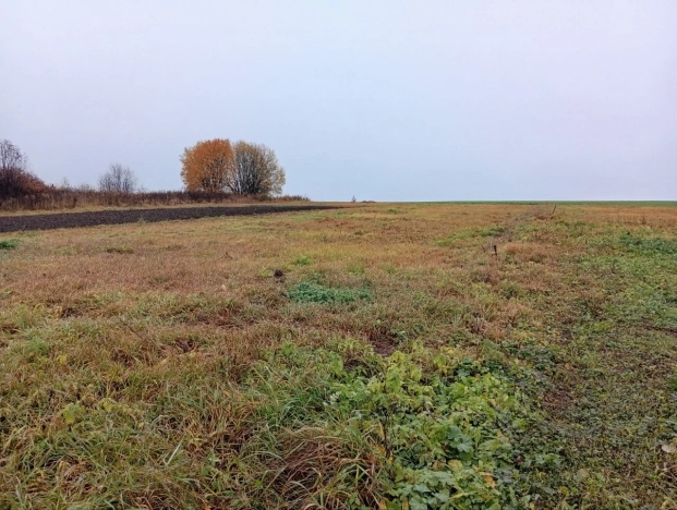 Купить земельный участок в Владимире. Вариант № 8161749, 0, площадь -  квм, цена 700000 рублей