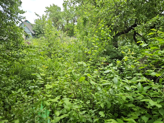 Купить дачу в Московской области. Вариант № 57662, 23, площадь -  квм, цена 480000 рублей