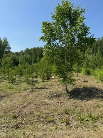 Купить земельный участок в Новосибирске. Вариант № 10408095, 10, площадь -  квм, цена 1500000 рублей