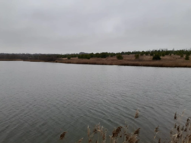 Купить земельный участок на улице 1 Мая в Нижегородской области. Вариант № 25537, 6, площадь -  квм, цена 38000000 рублей