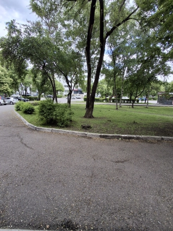 Снять коммерческую недвижимость в Уссурийске. Вариант № 53957, 2, площадь -  квм, цена 240240 рублей