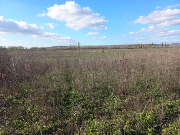 Купить земельный участок в Новороссийске. Вариант № 8873095, 1, площадь -  квм, цена 1950000 рублей