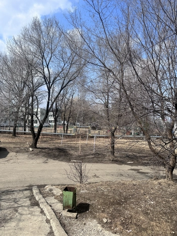 Купить четырехкомнатную квартиру в Приморском крае. Вариант № 33998, 20, площадь -  квм, цена 7650000 рублей