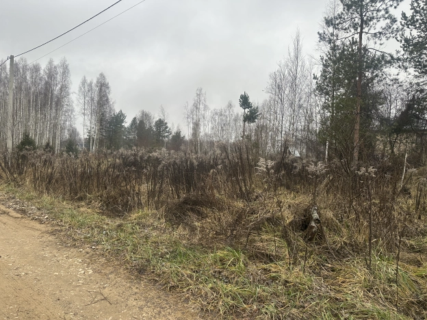 Купить земельный участок в Владимирской области. Вариант № 10771614, 1, площадь - квм, цена 1200000 рублей