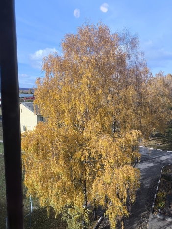 Купить трехкомнатную квартиру на улице Железнякова в Белгороде. Вариант № 8620417, 9, площадь -  квм, цена 5700000 рублей