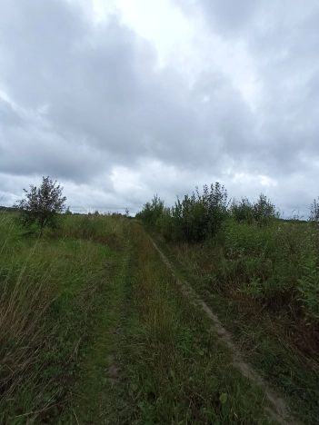 Купить земельный участок в Вологодской области. Вариант № 8987, 4, площадь -  квм, цена 380000 рублей