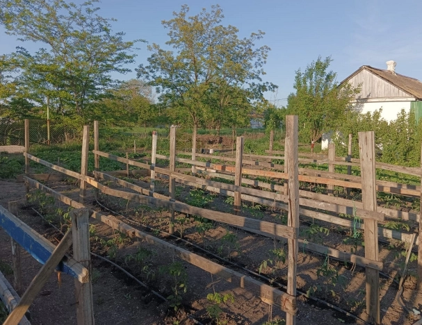 Купить дом на улице Гранатовая в Краснодарском крае. Вариант № 8530465, 23, площадь -  квм, цена 3100000 рублей