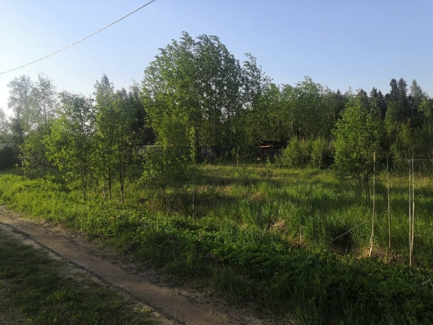 Купить земельный участок на улице Полевая в Вологодской области. Вариант № 1630, 7, площадь -  квм, цена 200000 рублей