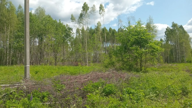 Купить земельный участок на улице 3-я Сорокинская в Владимире. Вариант № 48194, 6, площадь -  квм, цена 1100000 рублей